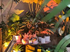 -火塘云南烧烤大排档