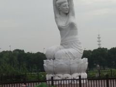 -荷塘月色湿地公园·向阳花洲