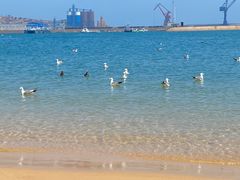 -海驴岛(荣成市)