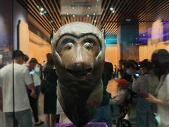 -广西壮族自治区博物馆