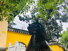 -孤山景区-孤山寺