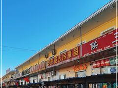 -煲来饱去冷水鱼