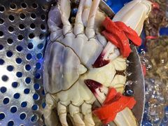 -良友·海鲜青岛菜(五四广场店)