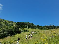 -灵山