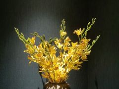 -好友缘酒家(会展中心店)
