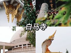 -洛阳白马寺