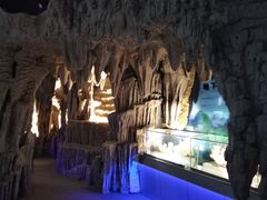 -中国地质大学逸夫博物馆