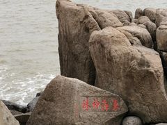-桃花岛风景旅游区