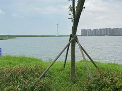 -启东黄金海滩景区