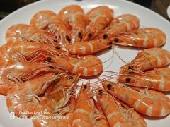 -港升鱼师傅·中山脆肉鲩