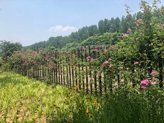 -江南大学(蠡湖校区)