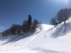 -新疆那拉提国家旅游度假区
