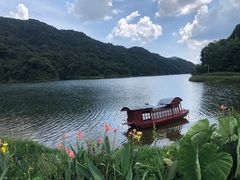 -广州市石门国家森林公园