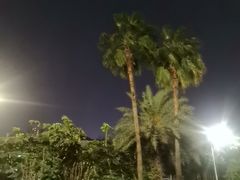 -文华公园(禅城区)
