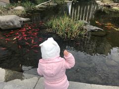 -活水公园