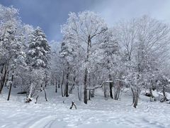 -雪谷