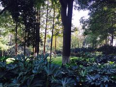 -上海市保健医疗中心(华东疗养院)