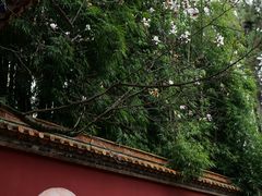 -昆明市金殿名胜区