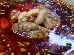 -四川老牛麻辣烫(北门桥店)