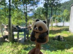 -卧龙中华大熊猫苑神树坪基地