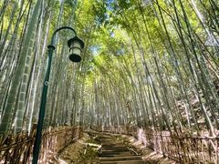 -杭州黄龙洞