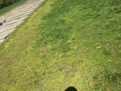 -维格兰雕塑公园