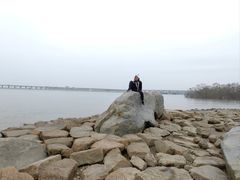 -宝安西湾红树林湿地公园