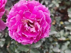 -人民公园(罗湖区)