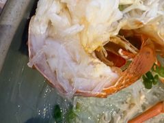 -美食小镇·观赏珍稀鸟类·长隆熊猫酒店