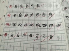 -赵汝飞练字硬笔书法(静安大融城校区)