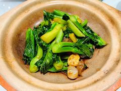 啫啫芥兰-梦都海鲜酒家(万达广场江桥店)