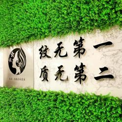 -臣丽纹眉品牌连锁