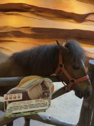 -酷嗒动物文化乐园(cutezoo西溪乐天城店)