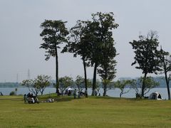 -漕湖湿地公园