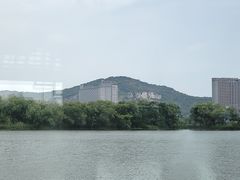-长兴太湖图影湿地文化园