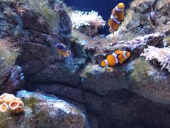 -成都浩海立方海洋公园