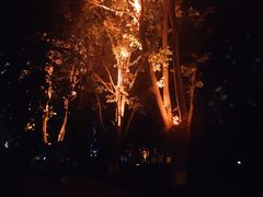 -多味坊自助酱大骨(江宁二店)