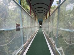-七仙岭温泉国家森林公园