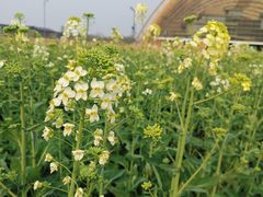 -中国天府农业博览园