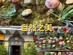 -福照楼汽锅鸡·云南菜(万达广场店)