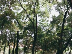 -四川大学(望江校区)