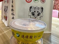 -德禄酸奶(莫家街店)