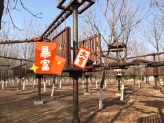 -永定河休闲森林公园