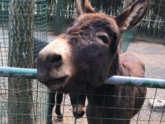 -兰陵国家农业公园