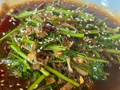 香菜牛百叶-素描餐厅(灵隐天竺店)