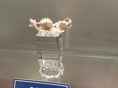 -中国地质大学逸夫博物馆