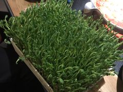 活豆苗-湊湊火锅·茶憩(上海合生汇店)