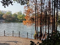 -荔湾湖公园