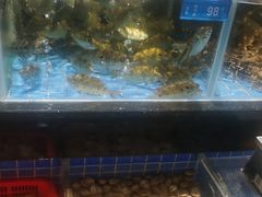 -青蓬蒸汽海鲜·深圳老字号·团建聚会(壹方城店)