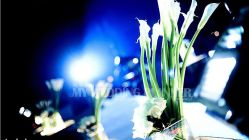 -上海万豪虹桥大酒店·宴会厅